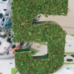 Soccer Birthday Party Decorations